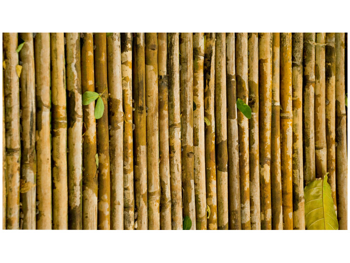 Bamboo Walkway Closeup Image