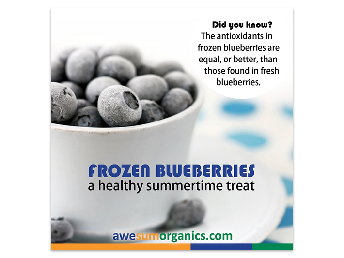 Facebook Ad Frozen Blueberries