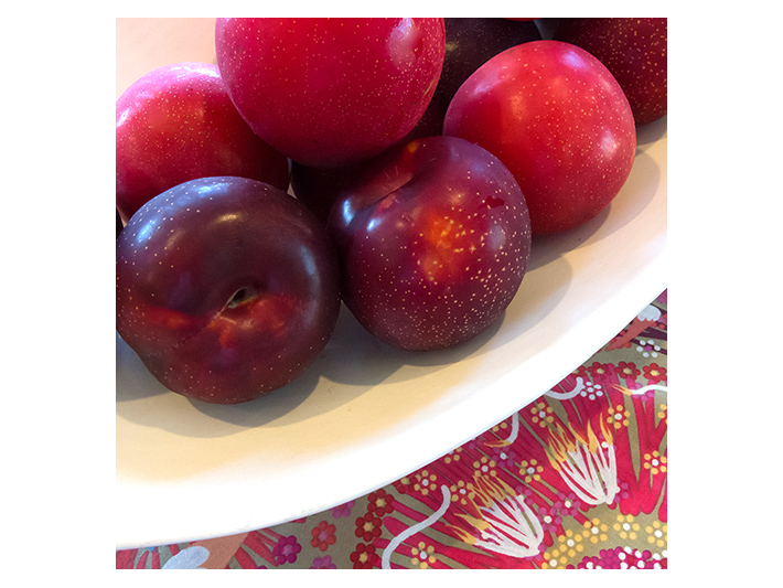 Plums in a Bowl