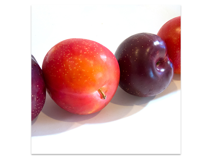 Plums in a row, image