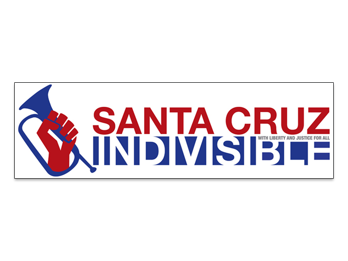 Santa Cruz Indivisible Branding