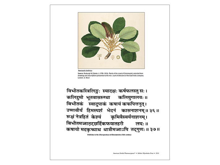 American Herbal Pharmacopoeia Monograph